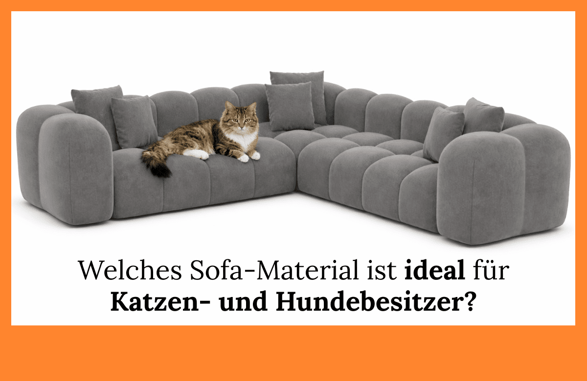 Welches Sofa Material für Katzen + Hunde